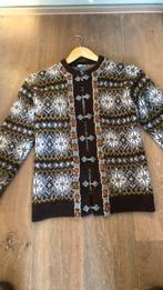 Noors vest, Kleding | Dames, Truien en Vesten, Dirdalstrikk, Ophalen of Verzenden, Gedragen, Maat 38/40 (M)