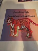 Bonnie Prince Billy - Singer's Grave LP, Ophalen of Verzenden, Zo goed als nieuw, 12 inch