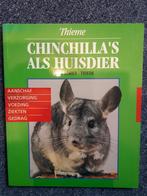 Chincilla's als huisdier, Nieuw, Ophalen of Verzenden