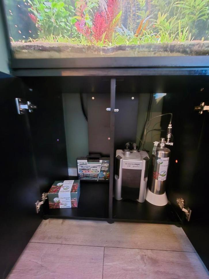 200l trofis colisa, Dieren en Toebehoren, Vissen | Aquaria en Toebehoren, Zo goed als nieuw, Gevuld zoetwateraquarium, Ophalen