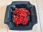 Fruittest Delfts aardewek jaren 80-90 Kleur zwart., Huis en Inrichting, Keuken | Servies, Ophalen of Verzenden, Effen, Aardewerk
