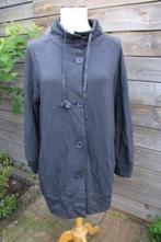 Vest grijs Cora Kemperman mt XL Vaste prijs, Kleding | Dames, Maat 46/48 (XL) of groter, Ophalen of Verzenden, Grijs, Cora Kemperman