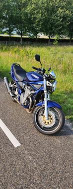Suzuki GSF 600, Particulier, Naked bike