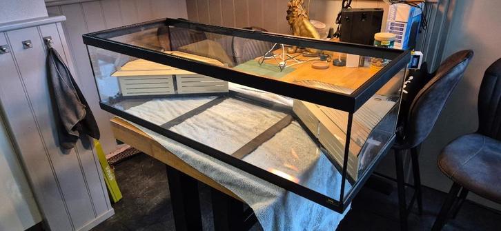 waterschildpadden aquarium groot, Dieren en Toebehoren, Reptielen en Amfibieën, Overige soorten, 0 tot 2 jaar