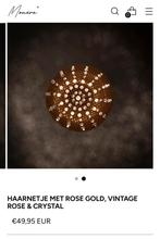 Haarnetje Monere rose goud NIEUW, Dieren en Toebehoren, Ophalen of Verzenden, Zo goed als nieuw, Dressuur