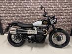 Triumph SCRAMBLER 900 ICON (bj 2025), Motoren, Bedrijf, 900 cc, Overig