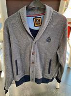 Heren vest, Maat 52/54 (L), Ophalen of Verzenden, Zo goed als nieuw, Grijs