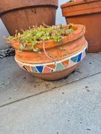 Terracotta Mozaïek Bloempot met Vetplant, Tuin en Terras, Bloempotten, Rond, Tuin, Zo goed als nieuw, Minder dan 40 cm
