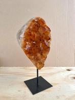 Citrien op voet, Verzamelen, Ophalen of Verzenden