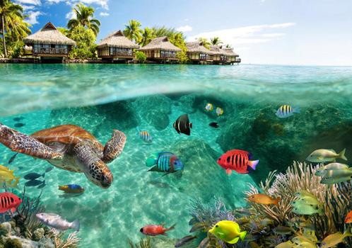Onderwater vliesbehang Zeeschildpad, Muurdeco4kids., Huis en Inrichting, Stoffering | Behang, Verzenden