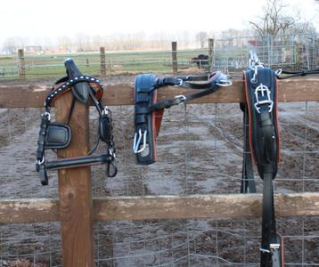 Te koop zwart met bruin onderlegd shetlander mentuig

 beschikbaar voor biedingen