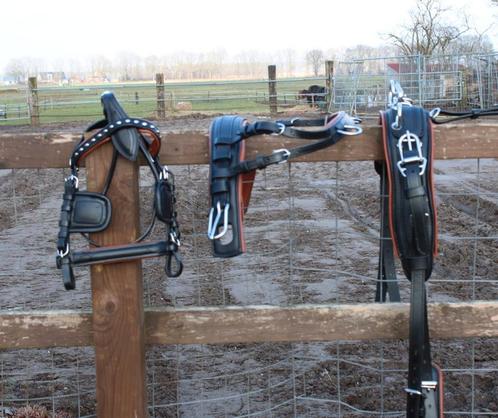 Te koop zwart met bruin onderlegd shetlander mentuig, Dieren en Toebehoren, Paarden en Pony's | Hoofdstellen en Tuigage, Nieuw