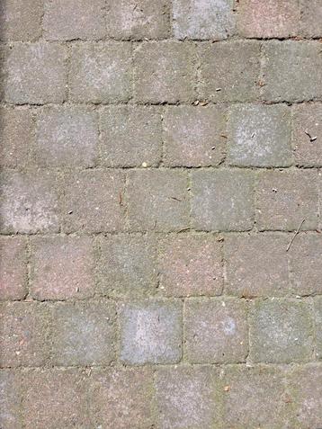 Vierkante betonklinkertjes 10x10cm 3m2 rood/blauw (GRATIS) beschikbaar voor biedingen