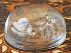 Zware vintage paardenhoofd presse-papier uit Engeland 9 cm., Antiek en Kunst, Antiek | Glas en Kristal, Ophalen of Verzenden