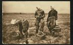 Zeeland : Op de Schorren, Verzenden, Voor 1920, Ongelopen, Zeeland