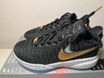 Zwarte Nike Lebron XX Schoenen maat 35,5, Schoenen, Nieuw, Ophalen of Verzenden, Jongen
