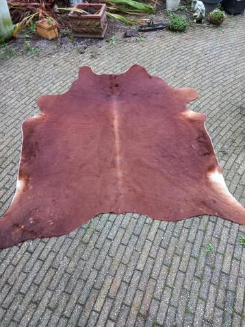Vloerkleed, koeienhuid  beschikbaar voor biedingen
