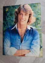 Jaren 80 Poster van Andy Gibb!, Ophalen of Verzenden, Zo goed als nieuw