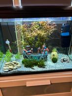 Mooie aquarium 90liter compleet, Ophalen of Verzenden, Zo goed als nieuw