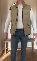 Bodywarmer maat L, maat 52, McGregor, Maat 52/54 (L), McGregor, Beige, Ophalen of Verzenden