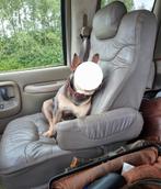 Chevrolet express voorstoelen gezocht, Auto-onderdelen, Ophalen of Verzenden, Chevrolet