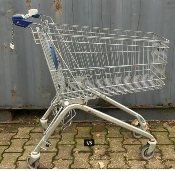 Winkelwagen Wanzl ELA150, Doe-het-zelf en Verbouw, Transportwagens, Gebruikt, Transportkar, 100 liter of meer, Ophalen of Verzenden