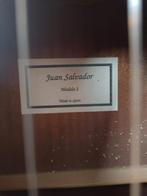 Juan Salvador modelo 2 gitaar, Muziek en Instrumenten, Snaarinstrumenten | Gitaren | Akoestisch, Ophalen of Verzenden, Gebruikt