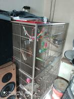 Te koop kamer volière met speeltjes en water voer bakken, Ophalen, Aluminium, Volière