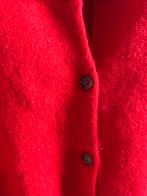 Rode H&M Cardigan - nieuw met prijskaartje Maat L, H&M, Maat 42/44 (L), Nieuw, Ophalen of Verzenden