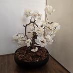 Luxe kunst bloesemboom – Ø40 cm pot – 70 cm hoog, Huis en Inrichting, Woonaccessoires | Kunstplanten en Kunstbloemen, Ophalen
