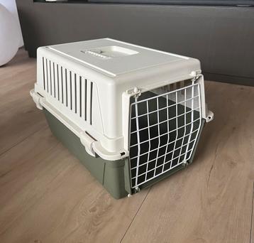 Kattenreismand beschikbaar voor biedingen