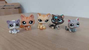 Littlest pet shop poesjes beschikbaar voor biedingen