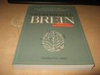 Charlotte Labee   Overprikkeld Brein,meer rust en balans in, Boeken, Ophalen of Verzenden, Zo goed als nieuw, Spiritualiteit algemeen