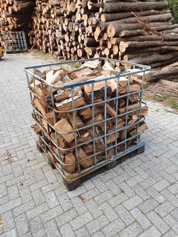 Berken hout gedroogd  beschikbaar voor biedingen