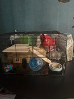 Hamsterkooi met benodigheden, Kooi, Minder dan 75 cm, Zo goed als nieuw, Hamster