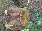 Grote stronk met prachtige ringen van een naaldboom, Tuin en Terras, Haardhout, Stammen, Ophalen of Verzenden