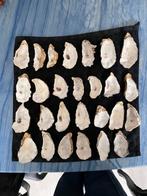 25 oesterschelpen oester bakje 9 - 12 cm  heel goed, Ophalen of Verzenden, Zo goed als nieuw, Materiaal