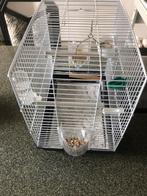 Te Koop: Zeer nette, zo goed als nieuwe vogelkooi., Dieren en Toebehoren, Vogels | Kanaries, Mannelijk, Zangkanarie