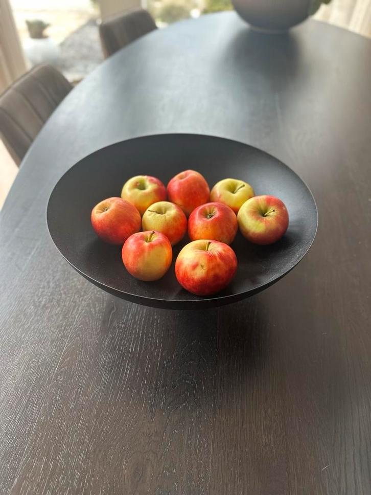 Stijlvolle zwarte fruitschaal, Huis en Inrichting, Woonaccessoires | Schalen en Manden, Zo goed als nieuw, Schaal, Rond, Overige materialen