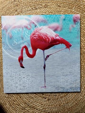 Magneetbord Flamingo - 40x40 cm - Nieuw! beschikbaar voor biedingen