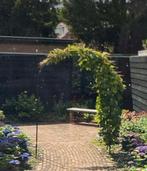 Rozenboog - 265cm hoog, 120cm breed, Gebruikt, 100 tot 150 cm, 200 cm of meer, Ophalen of Verzenden