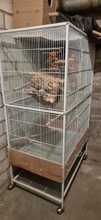 Grote vogelkooi., Ophalen, Zo goed als nieuw, Metaal, Vogelkooi