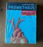 Prometheus Anatomische atlas Inwendige organen, Boeken, Nieuw, Ophalen of Verzenden, Michael Schünke; Erik Schulte; Udo Schumacher