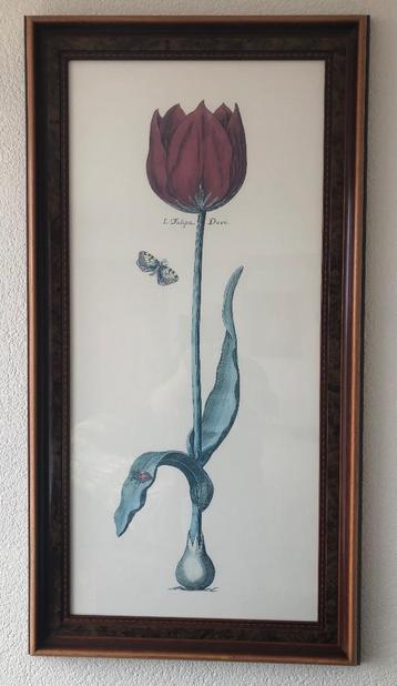 Wanddecoratie tulp 🌷Bloeit heel het jaar door! beschikbaar voor biedingen