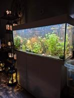 Juwel compleet, Ophalen, Zo goed als nieuw, Leeg aquarium