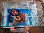 Kooi/hok + ren hamster+accessoires+voer! In 1x klaar!, Dieren en Toebehoren, Ophalen, Gebruikt, Hok, Hamster