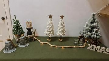 Mooie, duurzame kerstboompjes beschikbaar voor biedingen