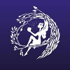 Fairyloot Juli save me a skip Adult boek beschikbaar voor biedingen