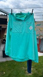 Knvb shirt, Ophalen of Verzenden, Shirt