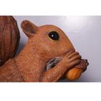 Eenkhoorn 151 cm - eenkhoorn squirrelbeeld, Ophalen, Nieuw, Overige typen